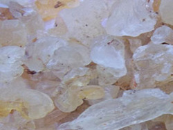 Gum Karaya